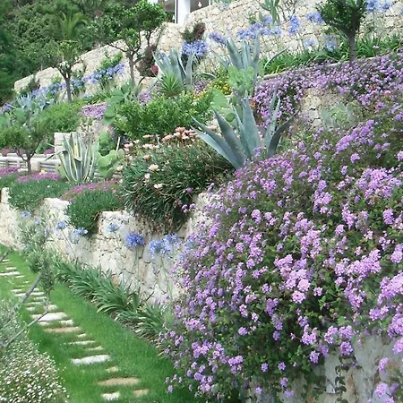 Bed & Breakfast Amaranta - Cinque Terre 3*